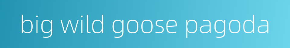 big wild goose pagoda的同义词