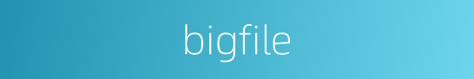 bigfile的同义词