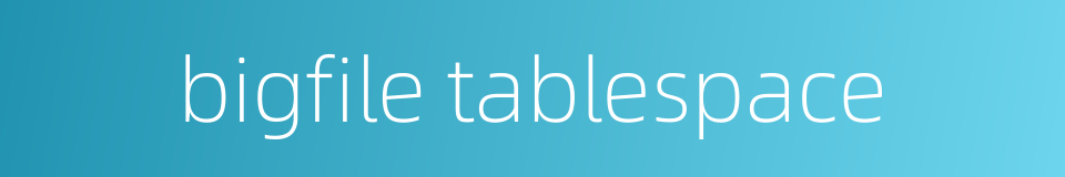 bigfile tablespace的同义词