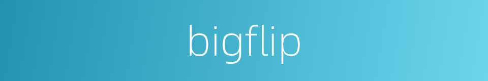 bigflip的同义词