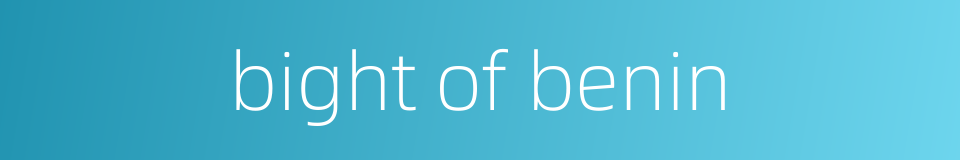 bight of benin的同义词