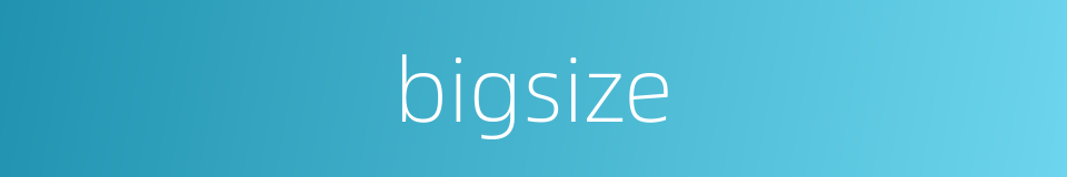 bigsize的同义词