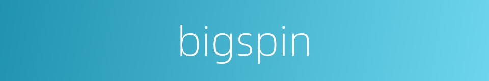 bigspin的同义词