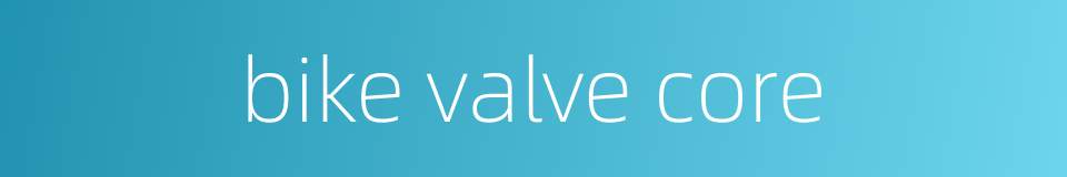 bike valve core的同义词