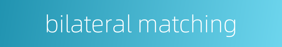 bilateral matching的同义词