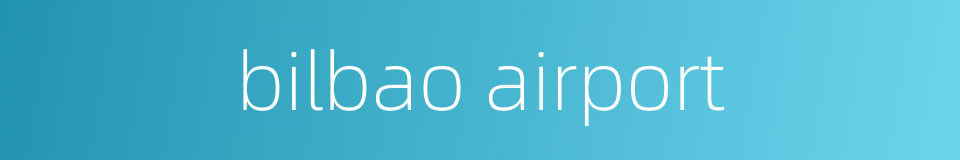bilbao airport的同义词
