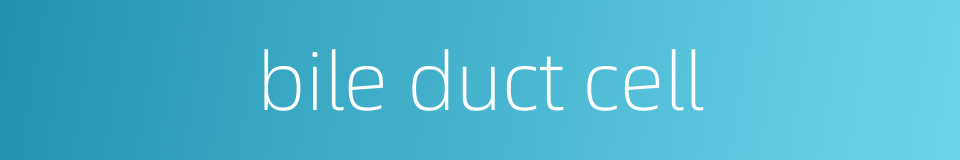 bile duct cell的同义词
