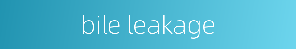 bile leakage的同义词