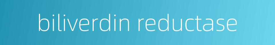 biliverdin reductase的同义词
