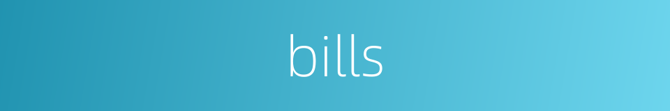 bills的同义词