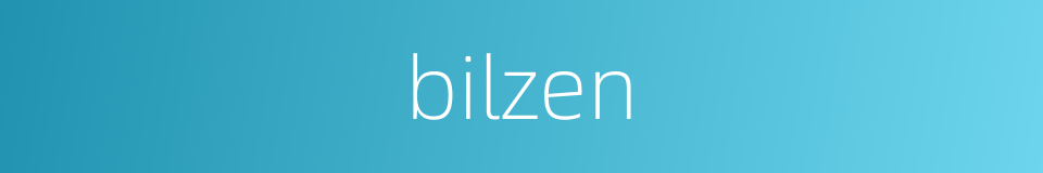 bilzen的同义词