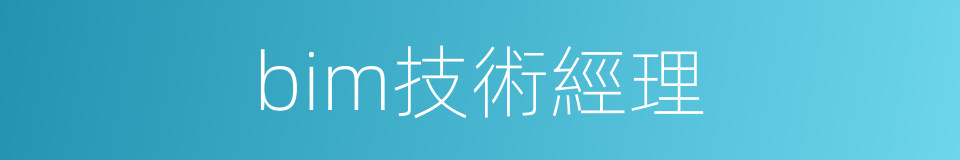 bim技術經理的同義詞