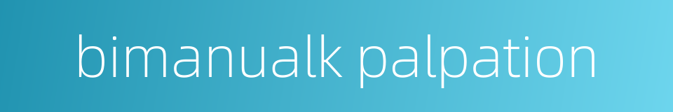 bimanualk palpation的同义词