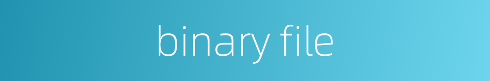 binary file的同义词