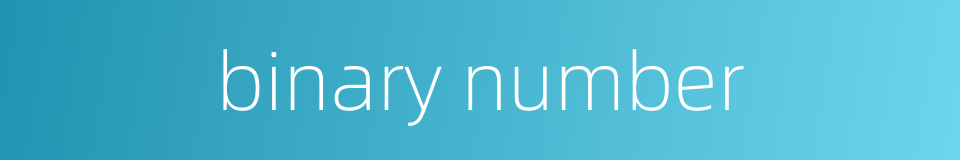 binary number的同义词