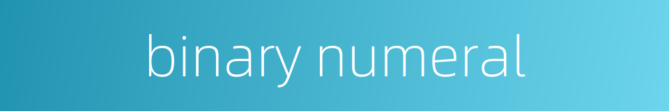 binary numeral的同义词