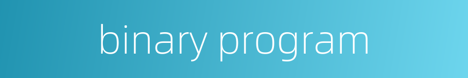 binary program的同义词