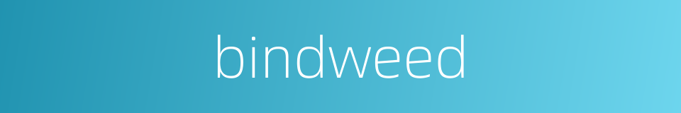 bindweed的同义词
