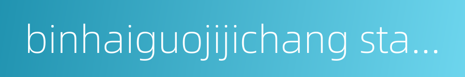 binhaiguojijichang station的同义词