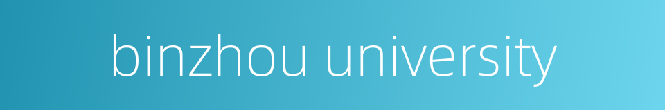 binzhou university的同义词
