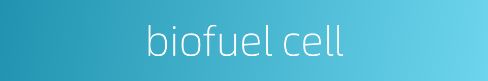 biofuel cell的同义词