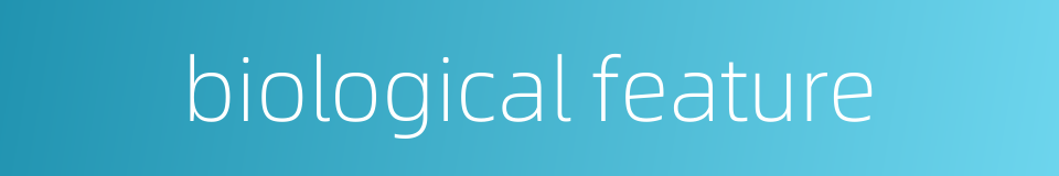 biological feature的同义词