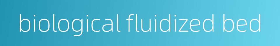 biological fluidized bed的同义词