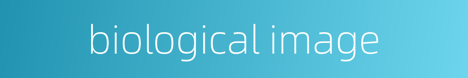 biological image的同义词