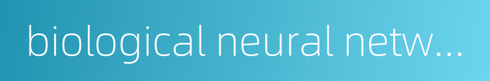 biological neural network的同义词