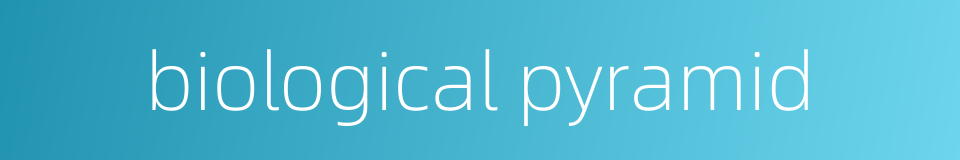 biological pyramid的同义词