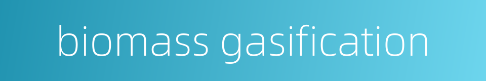 biomass gasification的同义词