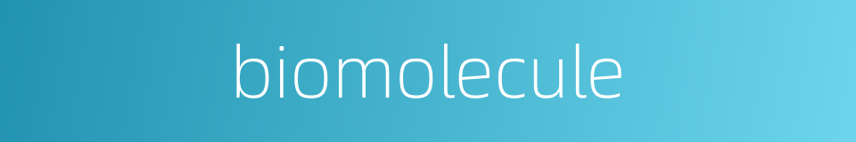 biomolecule的同义词
