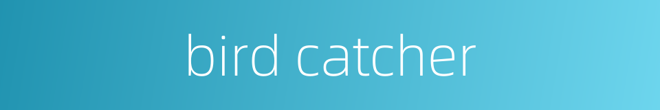 bird catcher的同义词