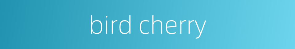 bird cherry的同义词