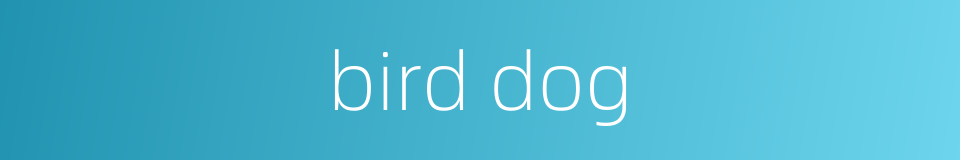 bird dog的同义词