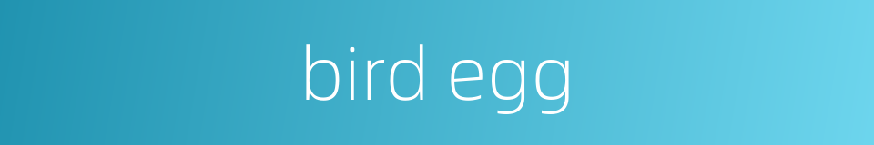 bird egg的同义词