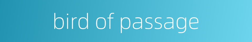 bird of passage的同义词