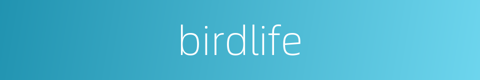 birdlife的同义词