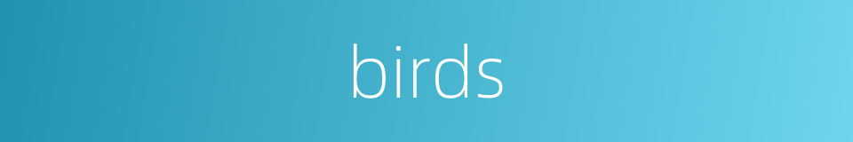 birds的同义词