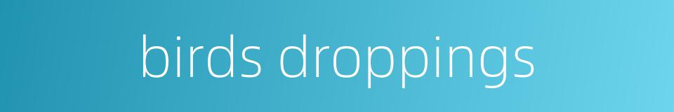 birds droppings的同义词