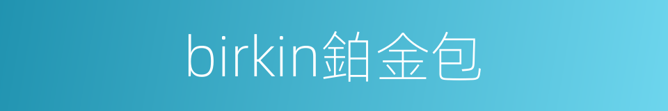 birkin鉑金包的同義詞