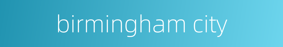 birmingham city的同义词