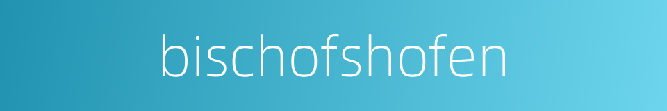 bischofshofen的同义词