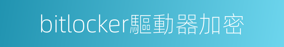 bitlocker驅動器加密的同義詞