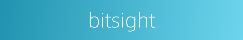 bitsight的同义词