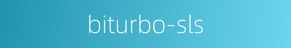 biturbo-sls的同义词
