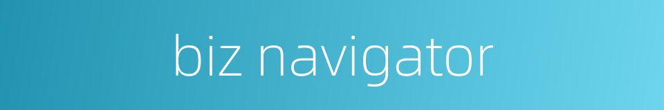biz navigator的同义词