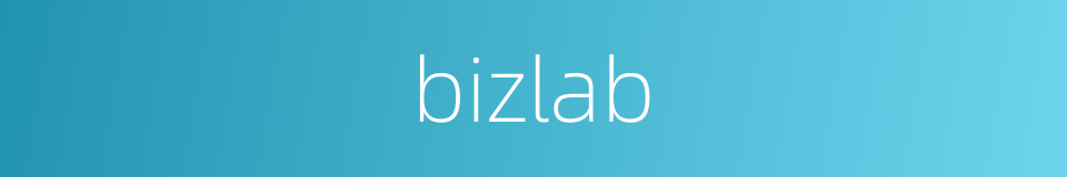 bizlab的同义词