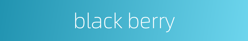 black berry的同义词