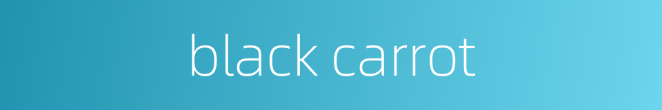 black carrot的同义词